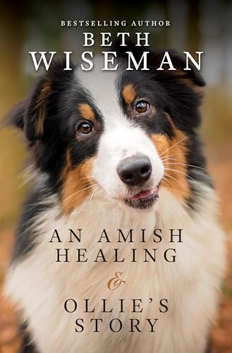An Amish Healing & Ollie's Story (Thorndike Press; Large Print) von Thorndike Press Large Print
