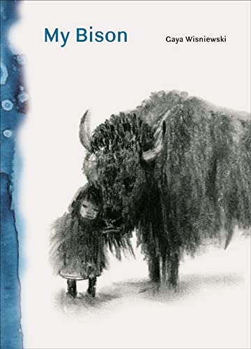 My Bison: by Gaya Wisniewski: 1 von Princeton Architectural Press