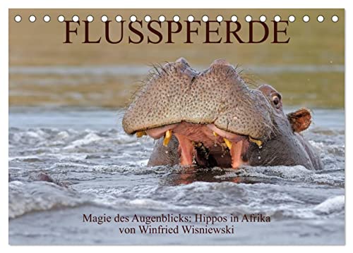 Flusspferde Magie des Augenblicks - Hippos in Afrika (Tischkalender 2025 DIN A5 quer), CALVENDO Monatskalender von CALVENDO