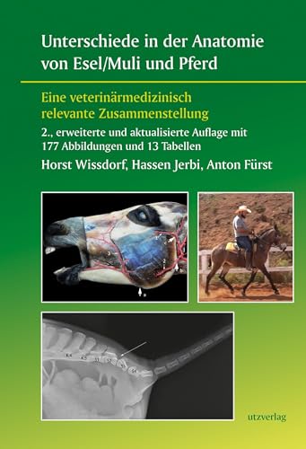 Unterschiede in der Anatomie von Esel/Muli und Pferd: Eine veterinärmedizinisch relevante Zusammenstellung