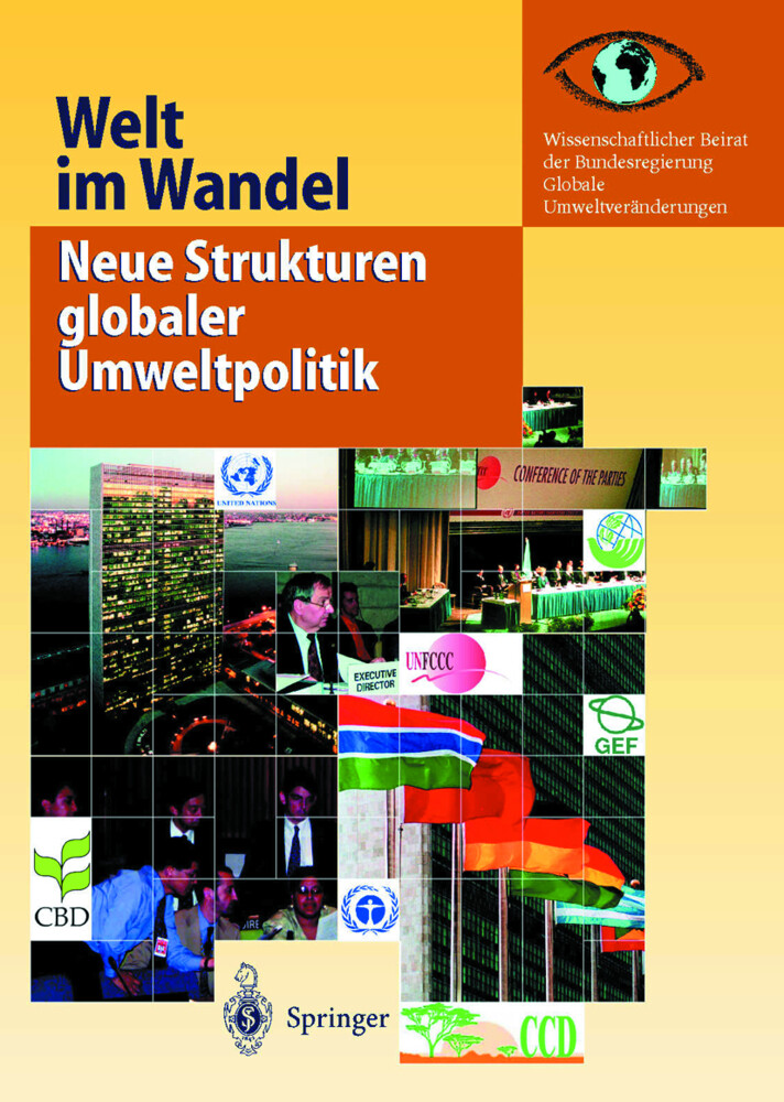 Welt im Wandel: Neue Strukturen globaler Umweltpolitik von Springer Berlin Heidelberg