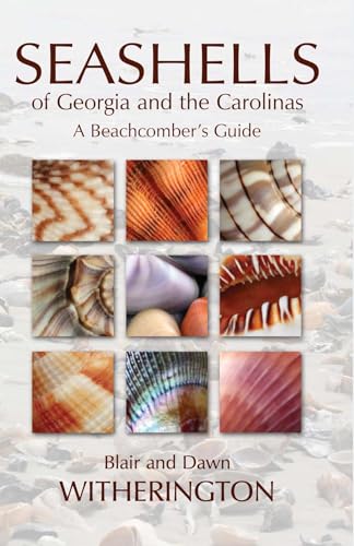 Seashells of Georgia and the Carolinas: A Beachcomber's Guide