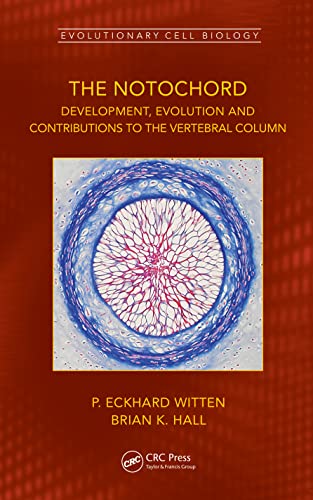 The Notochord: Development, Evolution and contributions to the vertebral column (Evolutionary Cell Biology) von CRC Press