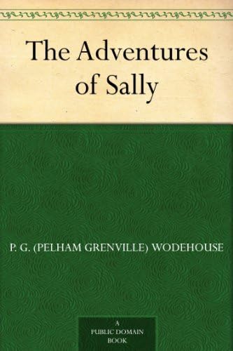 The Adventures of Sally The Adventures of Sally von Anson Street Press