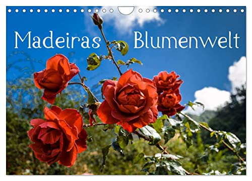 Madeiras Blumenwelt (Wandkalender 2024 DIN A4 quer), CALVENDO Monatskalender von CALVENDO