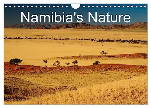 Namibia's Nature (Wall Calendar 2025 DIN A4 landscape), CALVENDO 12 Month Wall Calendar: Wild animals, colourful deserts, beautiful landscapes von Calvendo