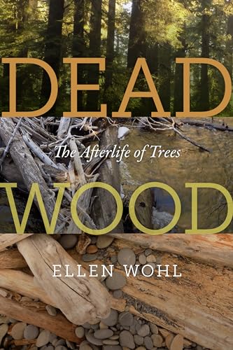 Dead Wood: The Afterlife of Trees Dead Wood: The Afterlife of Trees