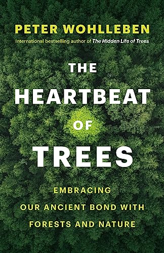 Heartbeat of Trees: Embracing Our Ancient Bond with Forests and Nature