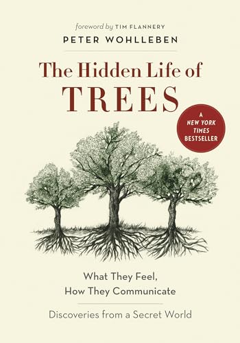 Hidden Life of Trees: What They Feel, How They Communicate―Discoveries from A Secret World (The Mysteries of Nature, 1)