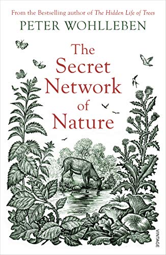 The Secret Network of Nature: The Delicate Balance of All Living Things The Secret Network of Nature: The Delicate Balance of All Living Things