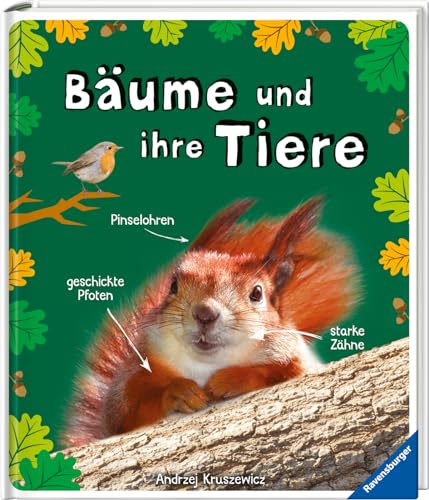 Bäume und ihre Tiere - das spannende Leben in unseren Wäldern, Hecken und Feldrainen (Flora und Fauna)