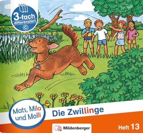 Mats, Mila und Molli – Heft 13: Die Zwillinge – C: Eine Geschichte in drei Schwierigkeitsstufen