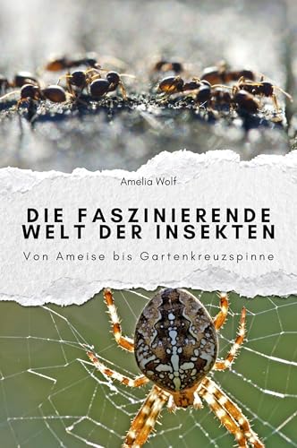 Die faszinierende Welt der Insekten - Das perfekte Geschenk für Männer und Frauen zu Weihnachten und Geburtstag. Hochwertige Hardcover-Ausgabe: Von Ameise bis Gartenkreuzspinne von FlipFlop