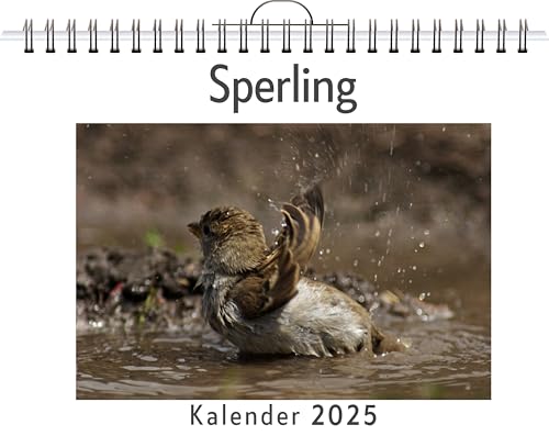 Sperling - (Wandkalender 2025, Kalender DIN A4 quer, Monatskalender im Querformat mit Kalendarium, das perfekte Geschenk) von FlipFlop