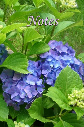 Notes: Hortensien von Independently published