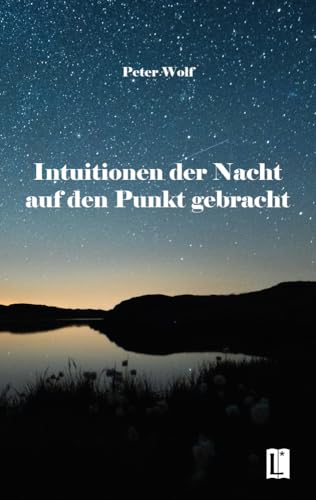 Intuitionen der Nacht auf den Punkt gebracht (Literareon) von Literareon