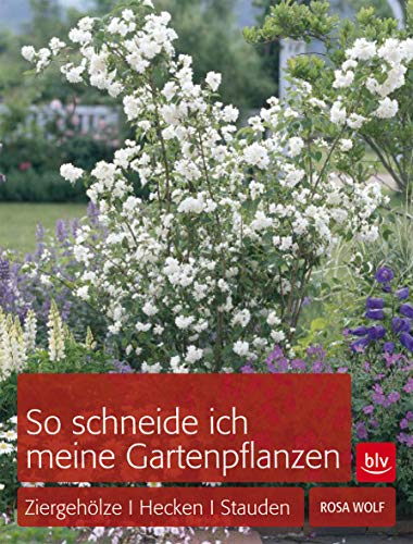 So schneide ich meine Gartenpflanzen: Ziergehölze, Hecken, Stauden (BLV Gartenpraxis)