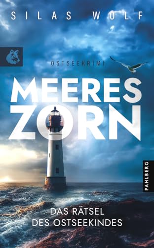 Meereszorn - Das Rätsel des Ostseekindes: Küstenkrimi - Ostseekrimi (Sönke Petersen ermittelt)