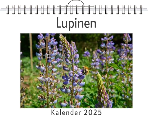 Lupinen - (Wandkalender 2025, Kalender DIN A4 quer, Monatskalender im Querformat mit Kalendarium, das perfekte Geschenk) von FlipFlop