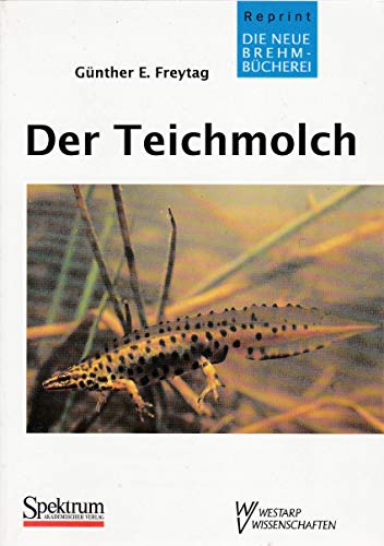 Der Teichmolch - Lissotriton vulgaris von Spektrum Akademischer Verlag