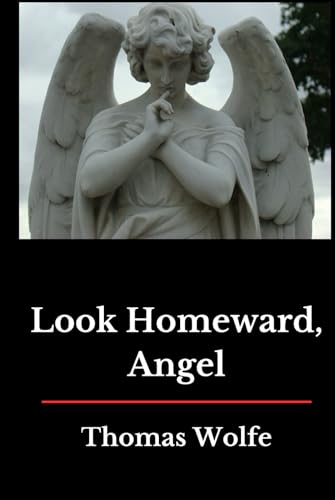 Look Homeward, Angel (Damani Grant Annotated Edition) von Independently published