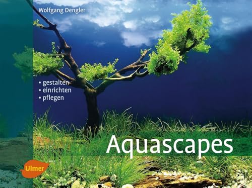 Aquascapes: Gestalten, einrichten, pflegen