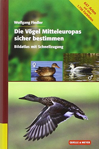 Die Vögel Mitteleuropas sicher bestimmen: Art – Alter - Geschlecht: Schritt für Schritt zur richtigen Arterkennung von Quelle + Meyer