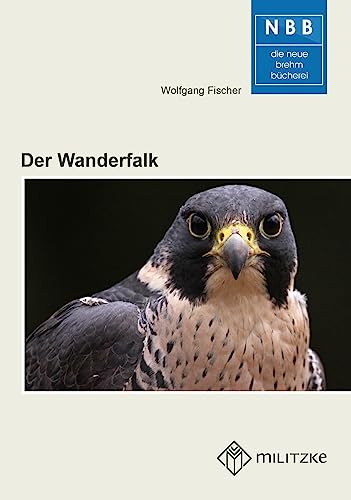 Der Wanderfalk: Falco peregrinus und Falco pelegrinoides
