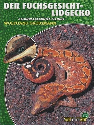 Der Fuchsgesicht-Lidgecko: Aeluroscalabotes felinus (Buchreihe Art für Art Terraristik)