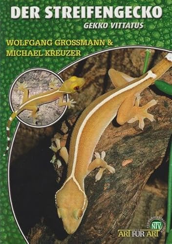 Der Streifengecko: Gekko vittatus (Buchreihe Art für Art Terraristik) von NTV Natur und Tier-Verlag