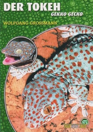 Der Tokeh: Gekko gecko (Buchreihe Art für Art Terraristik) von NTV Natur und Tier-Verlag