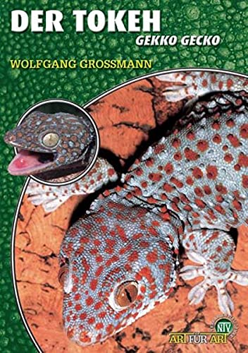 Der Tokeh: Gekko gecko (Buchreihe Art für Art Terraristik)