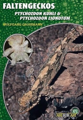 Faltengeckos: Ptychozoon kuhli & Pytychozoon lionotum (Buchreihe Art für Art Terraristik)