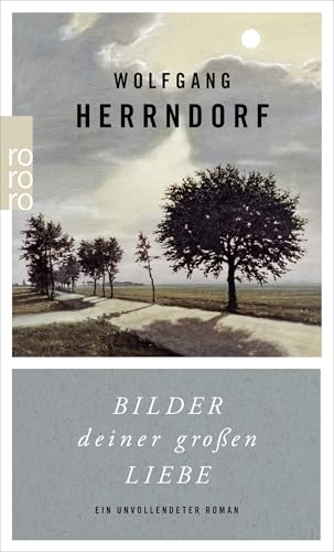 Bilder deiner großen Liebe: Ein unvollendeter Roman Bilder deiner großen Liebe: Ein unvollendeter Roman von Rowohlt