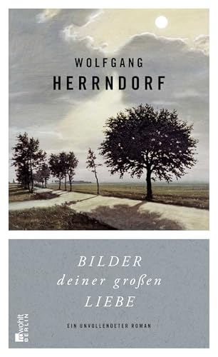 Bilder deiner großen Liebe: Ein unvollendeter Roman von Rowohlt