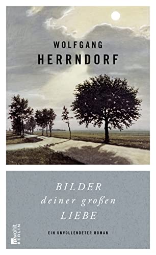Bilder deiner großen Liebe: Ein unvollendeter Roman