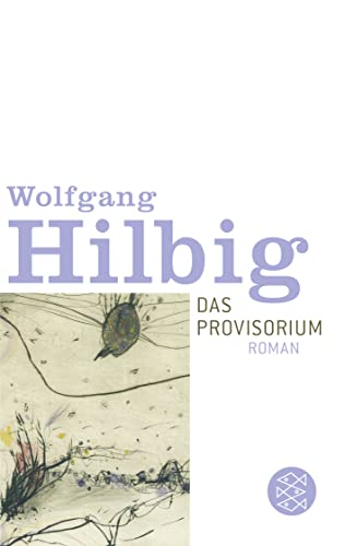 Das Provisorium: Roman