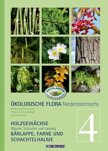 Ökologische Flora - Nieder-Österreichs Pflanzenwelt entdecken und bestimmen: Band 4- Holzgewächse (Bäume, Sträucher und Lianen), Bär- Lappe, ... (avBuch im Cadmos Verlag: im Cadmos Verlag)