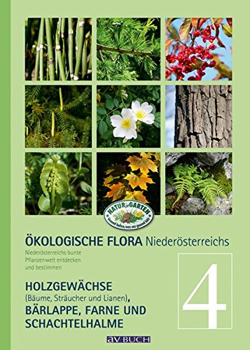 Ökologische Flora - Nieder-Österreichs Pflanzenwelt entdecken und bestimmen: Band 4- Holzgewächse (Bäume, Sträucher und Lianen), Bär- Lappe, ... (avBuch im Cadmos Verlag: im Cadmos Verlag)