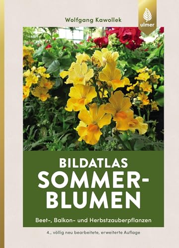 Bildatlas Sommerblumen: Beet-, Balkon- und Herbstzauberpflanzen (Bildatlanten)