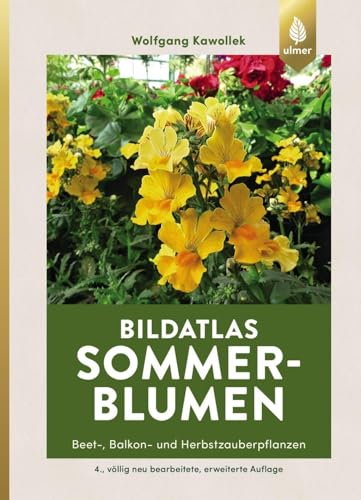 Sommerblumen: Beet-, Balkon- und Herbstzauberpflanzen (Bildatlanten)