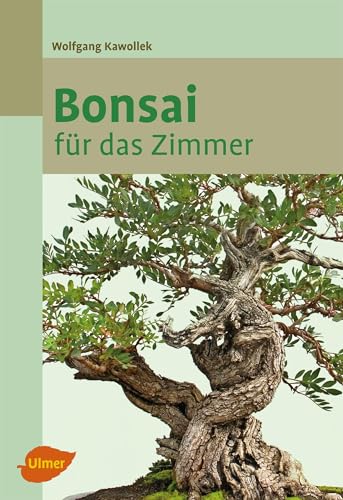 Bonsai für das Zimmer