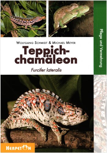 Teppichchamäleon: Furcifer lateralis, Pflege und Vermehrung