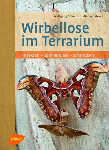 Wirbellose im Terrarium: Insekten - Spinnentiere - Schnecken Wirbellose im Terrarium: Insekten - Spinnentiere - Schnecken
