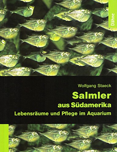 Salmler aus Südamerika: Lebensräume und Pflege im Aquarium von Dennerle