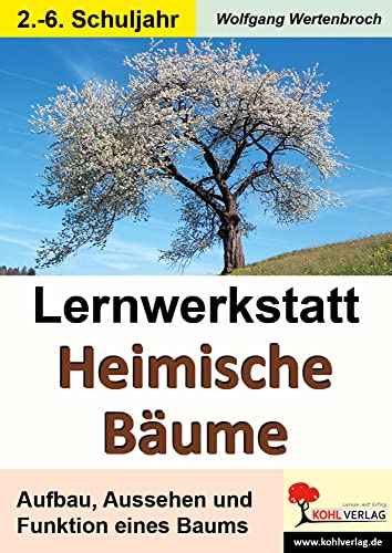 Lernwerkstatt Heimische Bäume: Aufbau, Aussehen und Funktion eines Baumes