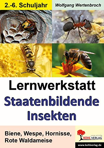 Lernwerkstatt Staatenbildende Insekten: Biene, Wespe, Hornisse, Rote Waldameise: Bienen, Wespen und Ameisen