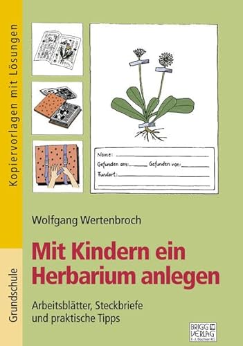 Mit Kindern ein Herbarium anlegen: Arbeitsblätter, Steckbriefe und praktische Tipps