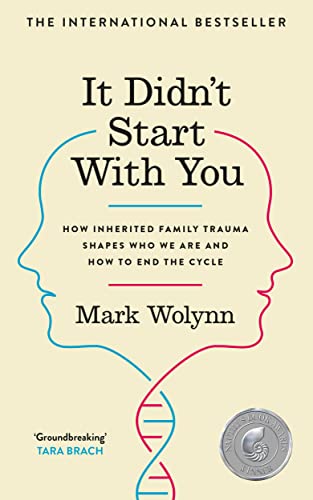 It Didn't Start With You: How inherited family trauma shapes who we are and how to end the cycle von Vermilion