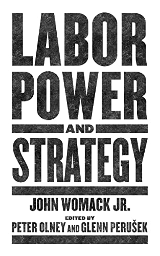 Labor Power and Strategy von PM Press